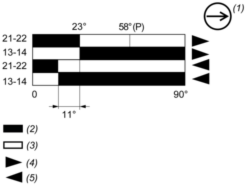 Endebryter, XC Standard, XCKJ, stålrullspak, 1NC+1 NO, snap-action, M20 - Bilde 6