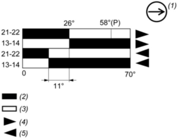 Endebryter, Endebryter XC Standard, XCKM, termoplastisk rullespak, 1NC+1 NO, snap-action, M20