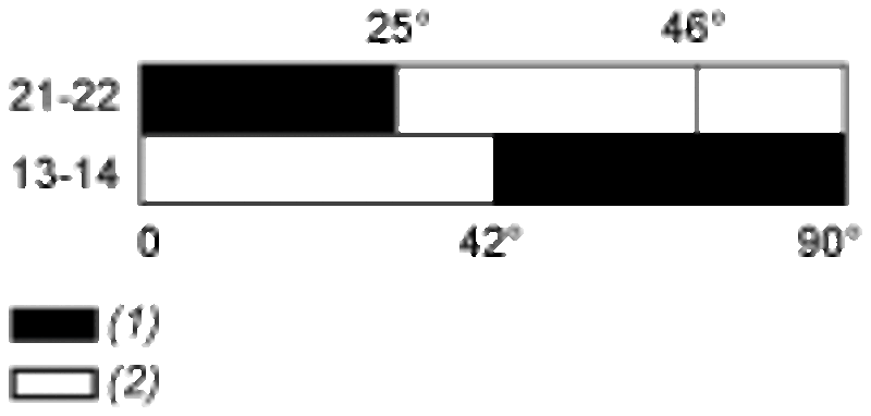 Endebryter, Endebryter XC Standard, XCKP, termoplastisk plastrullespak med varighet, 1NC+1 NO, langsom, M16 - Bilde 2
