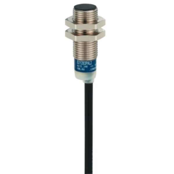 Induktiv tilstedeværelsesensor XS, induktiv sensor XS6 M12, L54 mm, messing, Sn4 mm, 24...240 VAC/DC, kabel 2 m