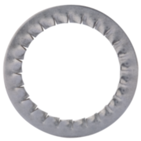 Tannskive/washer, M16 INOX 1329160050